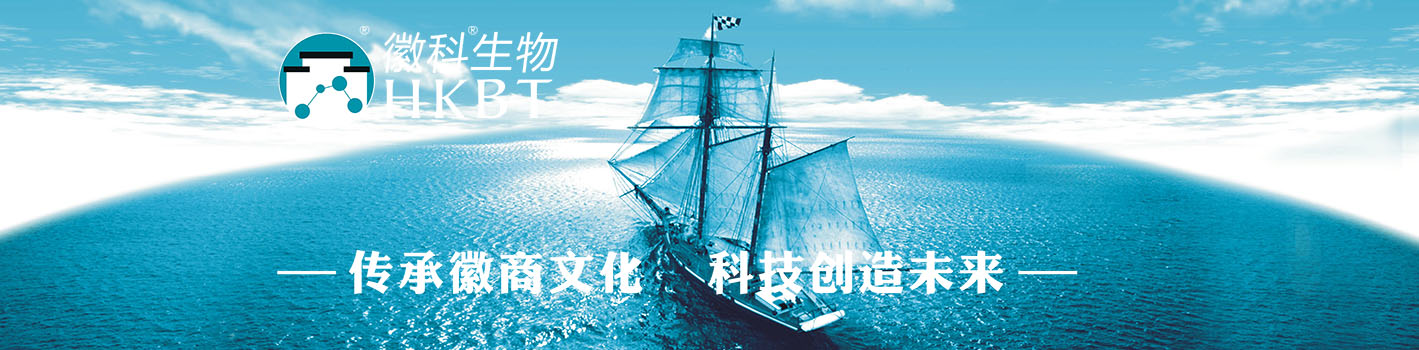 傳承徽商文化 科技創(chuàng)造未來(lái)